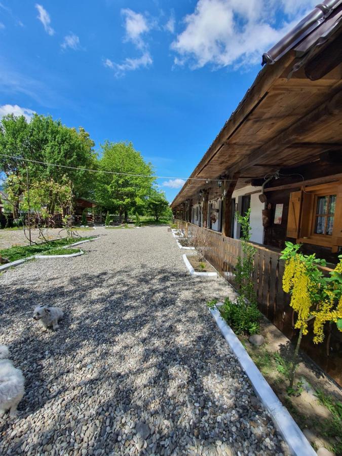 La Romaneasa Săpînţa Eksteriør bilde