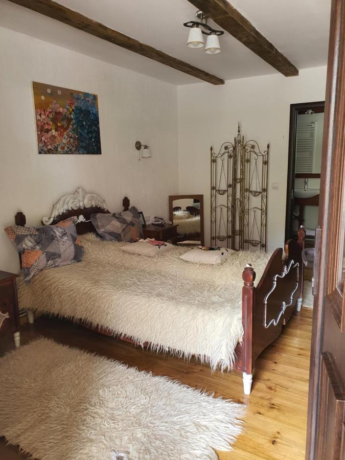 La Romaneasa Săpînţa Eksteriør bilde