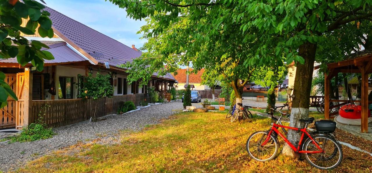 La Romaneasa Săpînţa Eksteriør bilde